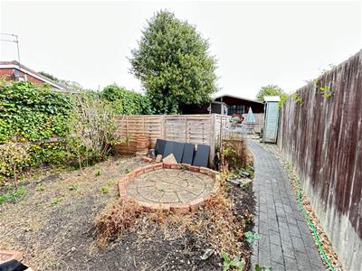 Picture 20